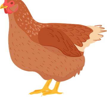 Galinha