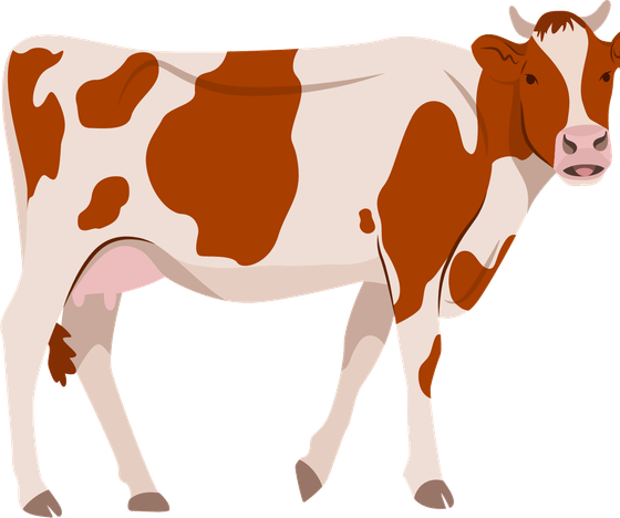 Vaca