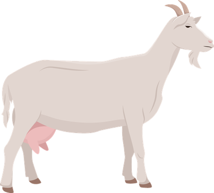 Cabra
