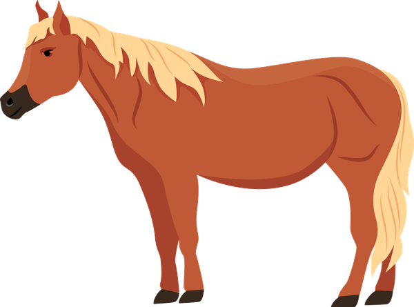 Cavalo